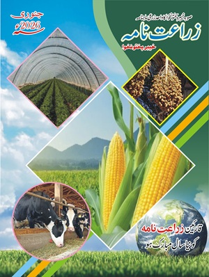 Zarat Nama January 2026